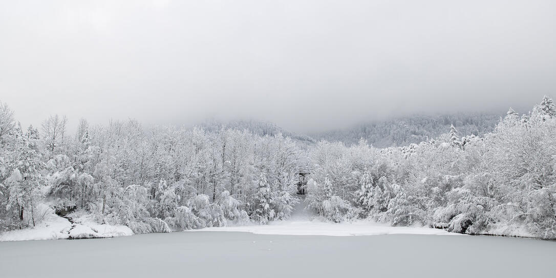 Schnee Unterland, Schaan, Vaduz