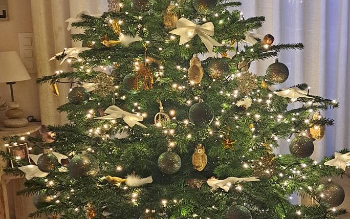 Fotowettbewerb: Zeig uns Deinen Christbaum 2023