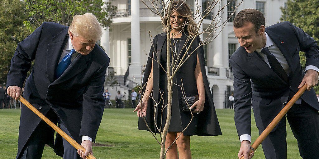 US-Präsident Donald Trump und Frankreichs Staatspräsident Emmanuel Macron pflanzten das Eichenbäumchen im April 2018. (Archivbild)