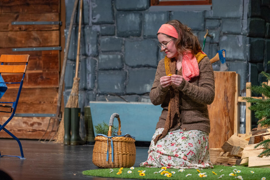 Dreik&ouml;nigsunterhaltung der Feuerwehr Vaduz (05.01.2026)