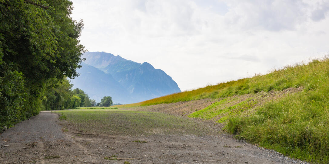 Schlammauflandung in Schaan