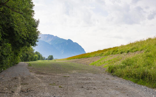 Schlammauflandung in Schaan