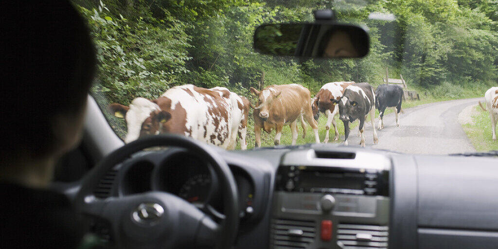 Eine Mitarbeiterin der Spitex Emmental auf dem Weg zum Einsatz. In ländlichen Gebieten kompensiert die Spitex den Mangel an Ärzten - gibt es doch auf dem Land vier mal weniger Arztpersonen als in der Stadt (Archivbild).