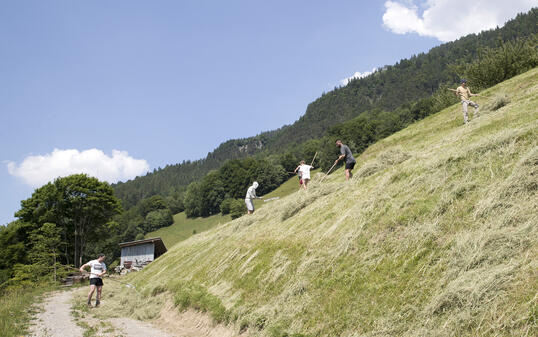 Heugabla 2017, Triesenberg