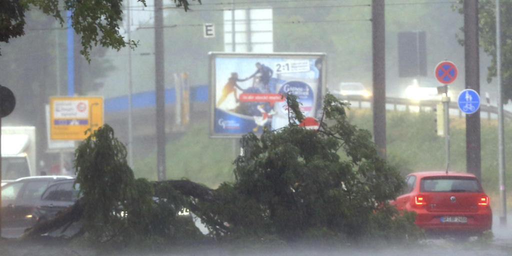 Auto fährt im ostdeutschen Magdeburg an umgestürztem Baum vorbei