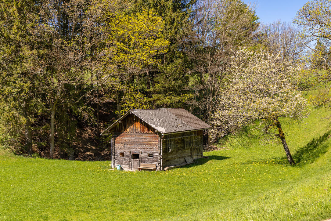11. Sagenfestin Triesenberg (01.05.2026)