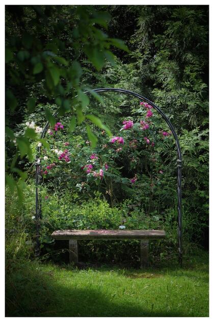 Die Stein Egerta besass für Mark Risch schon immer einen Wow-Faktor: Am liebsten sitzt er auf der Steinbank unter dem Rosenbogen und lässt seine Woche Revue passieren.
