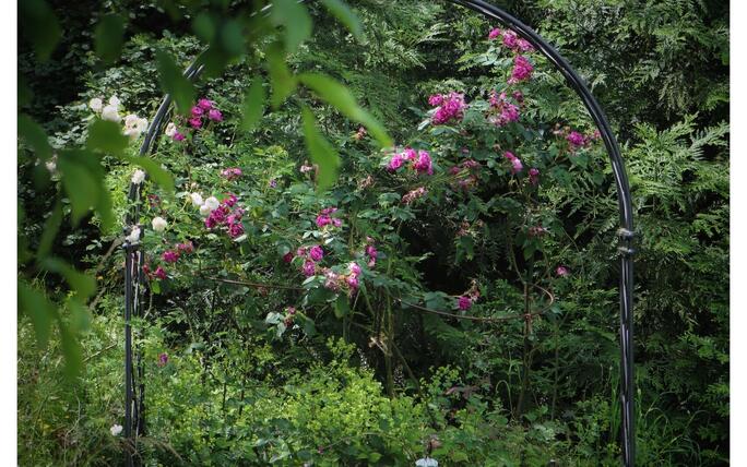 Die Stein Egerta besass für Mark Risch schon immer einen Wow-Faktor: Am liebsten sitzt er auf der Steinbank unter dem Rosenbogen und lässt seine Woche Revue passieren.