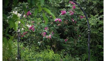 Die Stein Egerta besass für Mark Risch schon immer einen Wow-Faktor: Am liebsten sitzt er auf der Steinbank unter dem Rosenbogen und lässt seine Woche Revue passieren.
