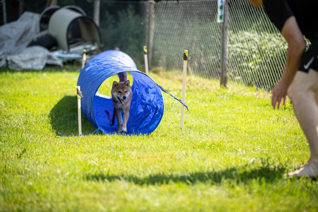 Hundeplausch Balzers (20.06.2026)