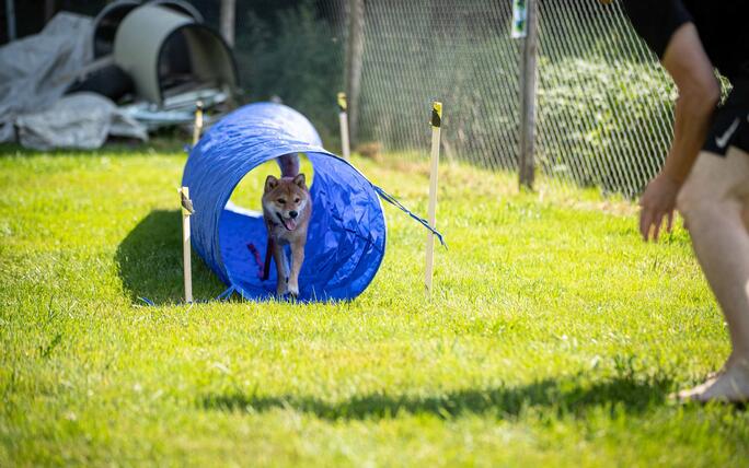 Hundeplausch Balzers (20.06.2026)
