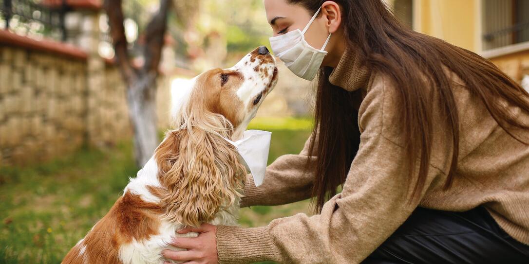 Chinese Coronavirus 2019-nCoV dangerous for pets