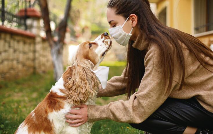 Chinese Coronavirus 2019-nCoV dangerous for pets