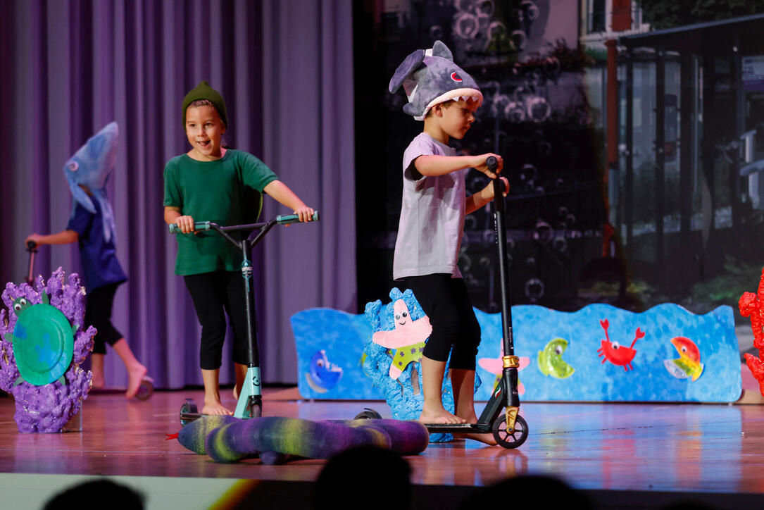 Turnunterhaltung STV Oberriet-Eichenwies, St. Gallen, Schweiz