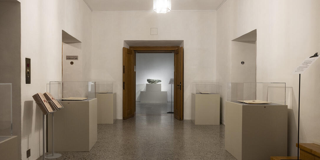 Sonderausstellung, Vaduz Sonderausstellung, Vaduz