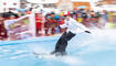 Waterslide Malbun