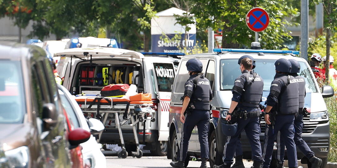 At least 9 dead in Austrian school shooting