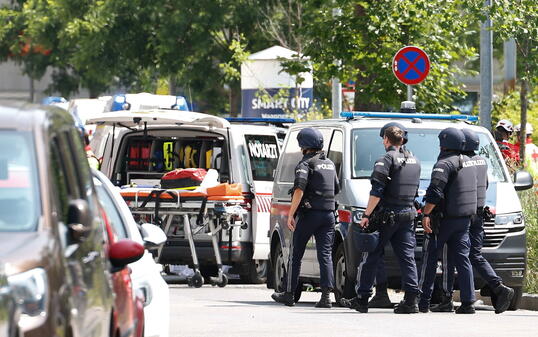 At least 9 dead in Austrian school shooting