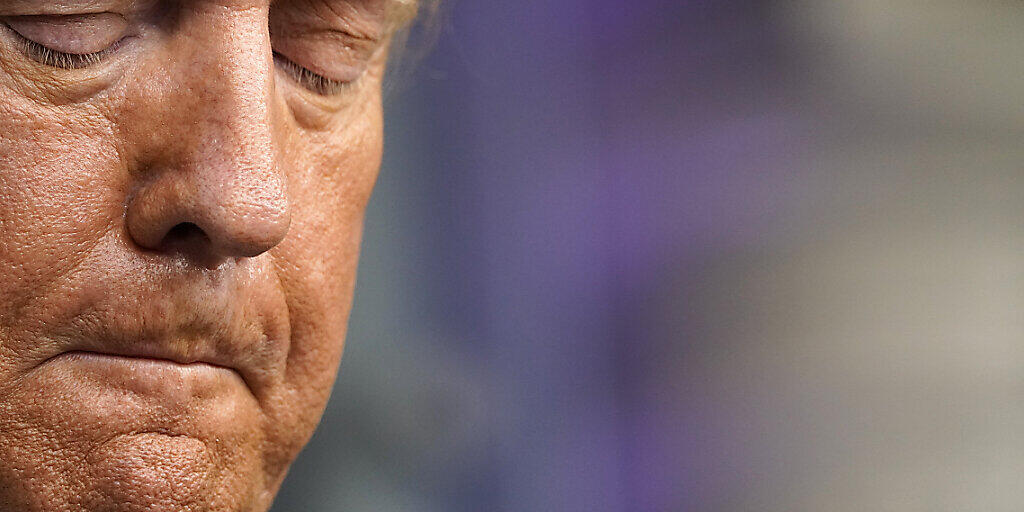 Donald Trump, Präsident der USA, während einer Pressekonferenz im Weißen Haus. Foto: Andrew Harnik/AP/dpa