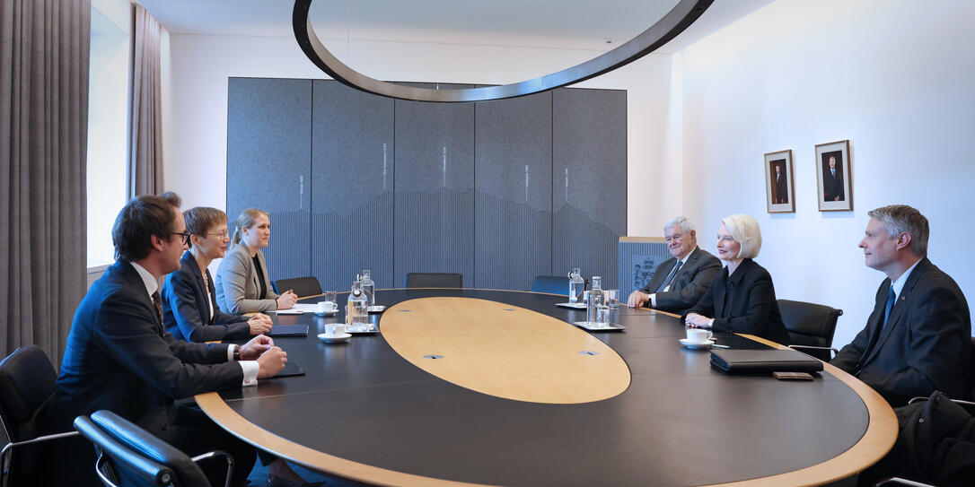 Überreichung des Beglaubigungsschreibens an S. D. Erbprinz Alo