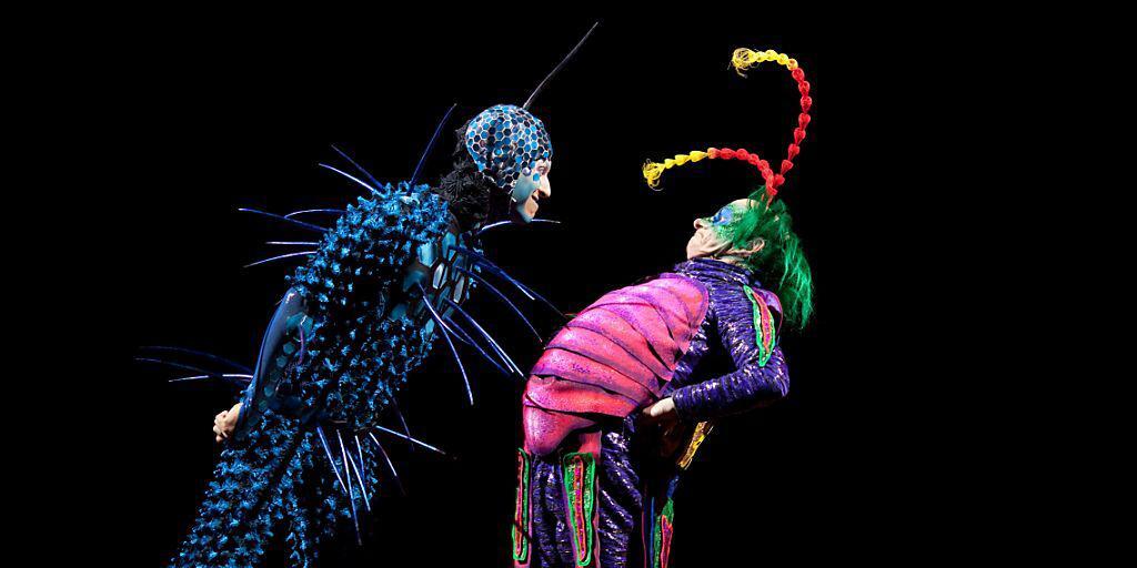 Der Cirque du Soleil startet die Europa-Tournee der seit Jahren erfolgreichen Produktion "OVO" im Oktober 2017 in der Schweiz. (Pressefoto) Der Cirque du Soleil startet die Europa-Tournee der seit Jahren erfolgreichen Produktion "OVO" im Oktober 2017 in der Schweiz. (Pressefoto)