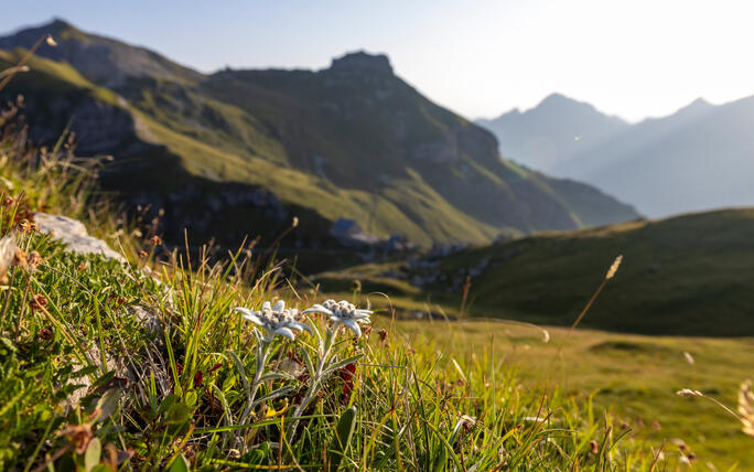 Wanderung Pfälzerhütte Naafkopf