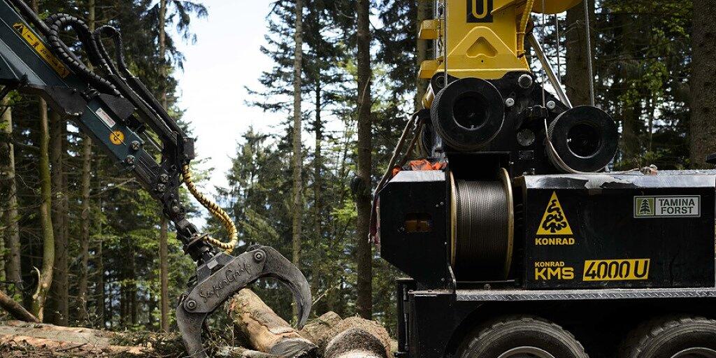 Die Aargauer Stimmberechtigen haben entschieden, dass die Waldbesitzer nicht mehr Geld für die Bewirtschaftung der Wälder erhalten.