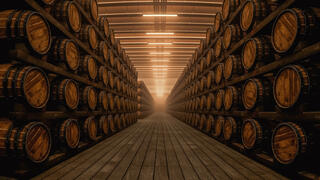 Wine Cellar