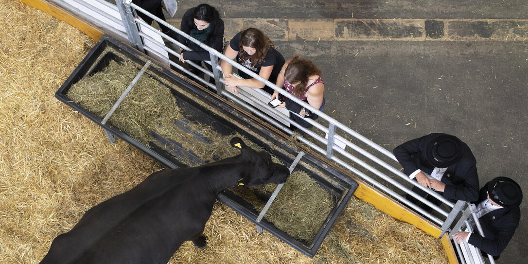 EROEFFNUNG, LANDWIRTSCHAFTSAUSTELLUNG, LANDWIRTSCHAFTSMESSE, OLMA,