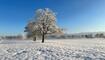 Winterwunderland Liechtenstein (03.12.23)