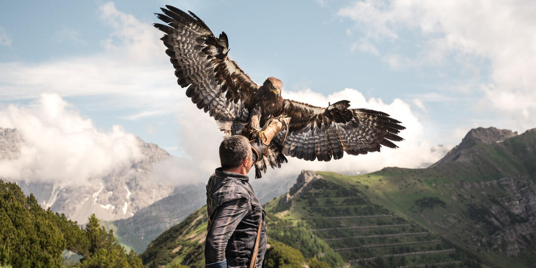 Norman Vögeli mit Steinadler