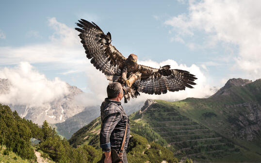 Norman V&ouml;geli mit Steinadler