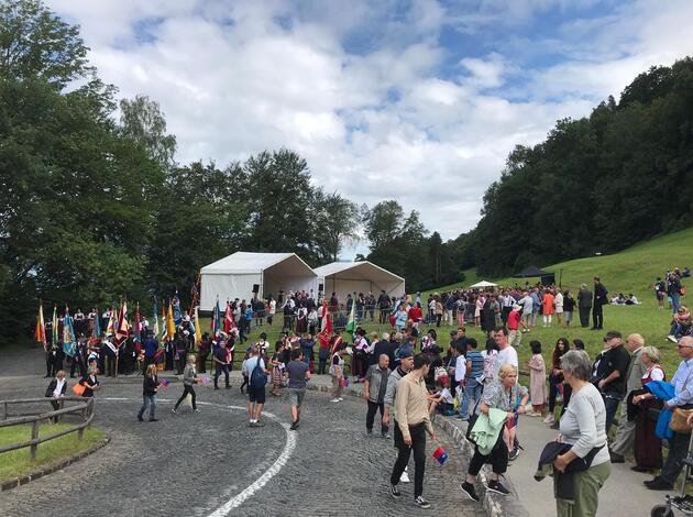 Schlosswiese 2019 Schlosswiese 2019