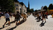 Alpabfahrt-Pradamee durch das Städtle von Vaduz.