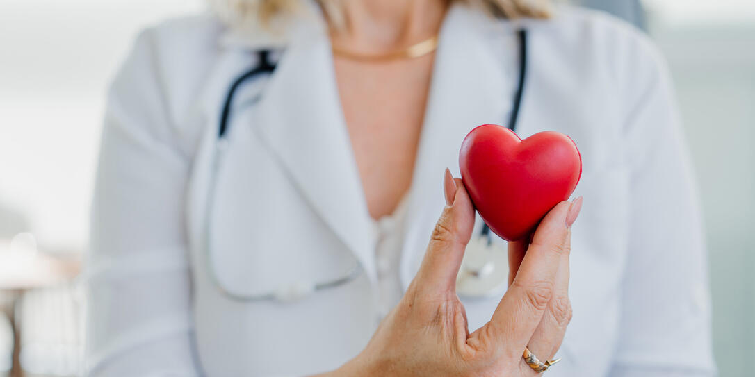 Portrait of female doctor holding cardiologist heart
