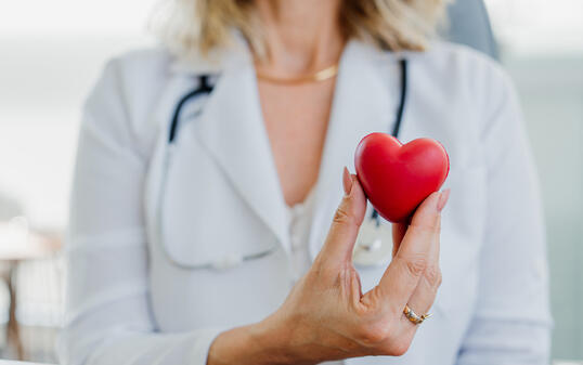 Portrait of female doctor holding cardiologist heart