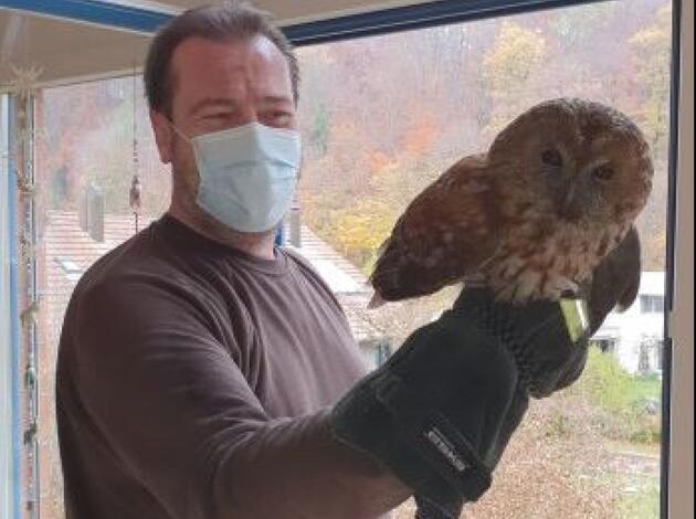 zwei waldkauze aus cheminee gerettet vaterland online