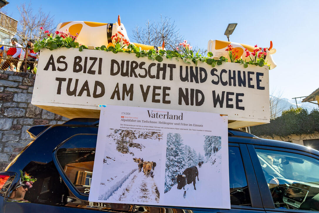 Fasnachtsumzug in Triesenberg (04.03.2025)